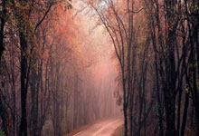 恩德里克:射门前看到门将准备下地,我的唯一选择就是挑射.