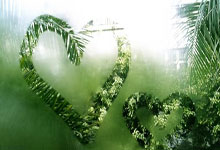 不是乒协,樊振东正式上任,亮相新岗位,球迷期待.