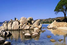 3比2击败亚特兰大 皇马重返欧冠胜轨.